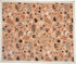 Primitives by Kathy Super Soft Floral Baby Blanket, 29" x 35", Pink