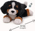 1 13 GUND Randle Bernese Mountain Dog, Premium Stuffed Animal Plush for Ages and Up, Black/Brown
