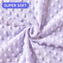 Gifts(30"*40",Butterfly) iEvolve Baby Nursery Bed Blankets Ultra Soft Double Layer Mini Blanket Minky Blanket Receiving