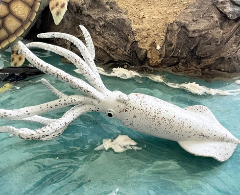 Gemini&Genius Squid Toy for Kids - Marine Animal Ocean World Toy Figure - 6 Inches Length Sea Animal Action Figure