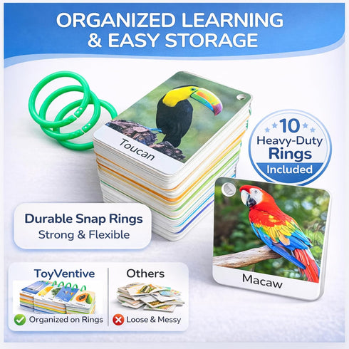 500 1-3 1 1 Words Thick & Sturdy Learning Flash Cards for Toddlers with Rings - Year Old Girl Gifts - Educational