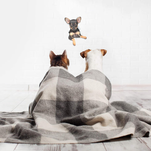 Winston & Bear 3D Dog Stickers, 2 Pack, Toy Terrier Puppy for Wall, Fridge, Toilet and More