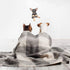 Winston & Bear 3D Dog Stickers, 2 Pack, Toy Terrier Puppy for Wall, Fridge, Toilet and More
