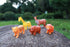 ODJSY 1-3|Sealed, Set|No (5-Piece Set) Bath Toys for Infants Ages No Hole Bathtub Toys |Floating Animal Toys Hole