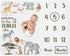 Sweet Jojo Designs Jungle Animals Milestone Blanket Monthly Newborn First Year Growth