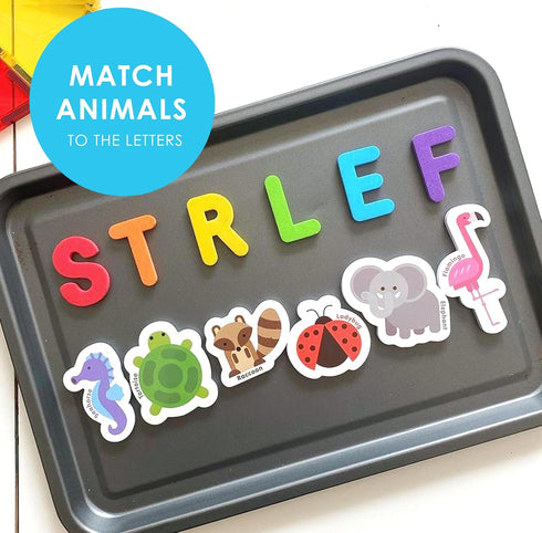 Curious Columbus Toddler Magnets – 52 Animal Fridge Magnets with 26 ABC Letters for Kids