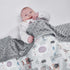 Baby Blanket for Boys Girls Super Soft Blanket,Fluffy Warm Lightweight Baby Receiving Blankets,Double Layer with Dotted Backing for Toddler Nursery(Fox, 30 * 40inch) by QSTEHEML