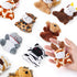 24 (24 3" JOYIN Pcs Mini Safari Animal Plush Toys Units Each), Animals Keychain Decoration for Kids, Small Stuffed