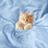 3D Cozy (30x40 inch, BORITAR Fleece Baby Blanket for Girls Boys Fluffy Fuzzy Flannel Soft Warm Plush Bed Blanket