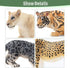 12PCS Set Toymany Big Cat Wild Animal Figurines, Realistic Safari Animals Includes