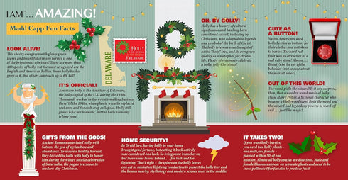 Madd Capp Holly 350 Piece Jigsaw Puzzle for Ages 10 & Up - Unique Floral-Shaped Border with Educational Fun Facts