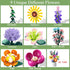 Booyuer Set, (858Pcs) Flowers Bouquet Building DIY Home Offic Botanical Bouquet Decoration Kit, Creative Gift for Mom