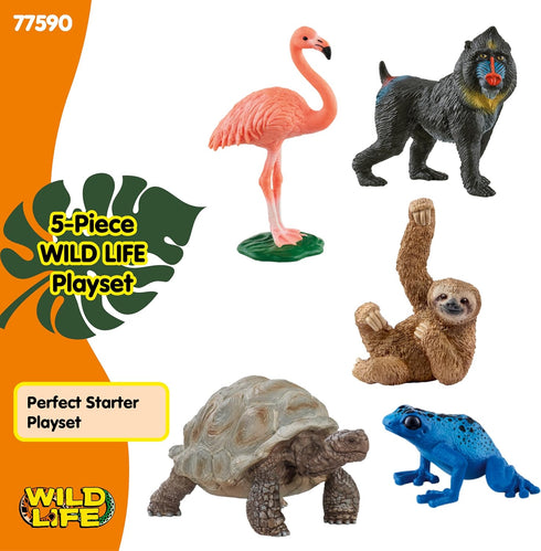 5PC Playset 5+ 77590 Schleich Wild Life - Exotic Animal Starter Figurine Bundle - With Flamingo, Sloth, Frog, Giant
