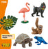 5PC Playset 5+ 77590 Schleich Wild Life - Exotic Animal Starter Figurine Bundle - With Flamingo, Sloth, Frog, Giant
