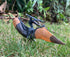 Gemini&Genius Pterodactyl Dinosaur Toys, Flying Dinosaur Figurine, Pteranodon Model Great Gifts and Cake Toppers