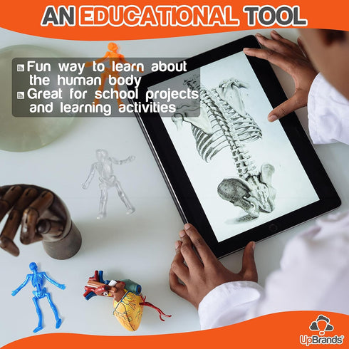 UpBrands Halloween Party Favors for Kids, 24 Stretchy Skeleton Toys for Goodie Bags, Classroom Prizes, Birthday Gifts