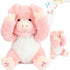 Cuteoy Peek A Boo Pig Plush Toy, Interactive Electric Stuffed Animal, Singing Talking Musical Gift, 11''