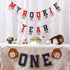 2 1st 1st Geyee Pcs Monthly Photo Baseball Birthday Banner Rookie of the Year Birthday Banner Year Picture One High