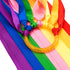 ANCIRS 2 Pack Rainbow Hand Kites, Plastic Dancing Ribbon Streamer Wand for Indoor Outdoor Party Play