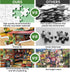 WSCXSC 300 20.5 15IN Piece Jigsaw Puzzle for Adults Large Piece Shop Puzzle Recycled Cardboard Paper Puzzles Coolest