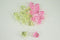 Dreampartycreation 500 Mini Acrylic Pacifiers Baby Shower Favor 3/4 Inches Wholesale!! Bulk Buy