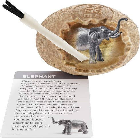 Dig a Dozen Egg Kit, Break Open 12 Eggs to Discover 12 Unique Wild Safari Animals, STEM Gift for Kids