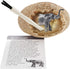 Dig a Dozen Egg Kit, Break Open 12 Eggs to Discover 12 Unique Wild Safari Animals, STEM Gift for Kids