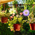 Dunzoom 30 Set Spring Craft Kit Suncatchers Kit Spring Flower DIY Suncatchers Craft Kit Make Your Own Suncatcher Paint