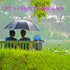 Baby Stroller Rain Cover, Universal Umbrella Weather Shield, Protects from Rain, Wind, Snow, Dust, Waterproof, Clear
