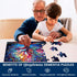 3 Packs 48 Large Piece Puzzles for Seniors - Dementia and Alzheimer’s Memory Cognitive Games with Storage Bags