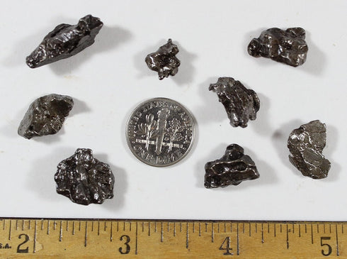 DANCING BEAR Meteorite from Space, 5 pcs Campo del Cielo from Argentina, Educational Card & Magnifying Box