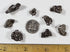 DANCING BEAR Meteorite from Space, 5 pcs Campo del Cielo from Argentina, Educational Card & Magnifying Box