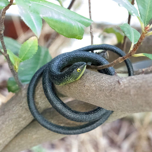 3-Pack Ultra-Realistic Rubber Snakes for Halloween Decorations, Large Fake Black Mamba Toy