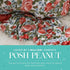 Set Posh Peanut Swaddle Blanket + Headband - Soft Newborn Swaddle Doubles As a Stroller, Receiving Blanket, and Nursing
