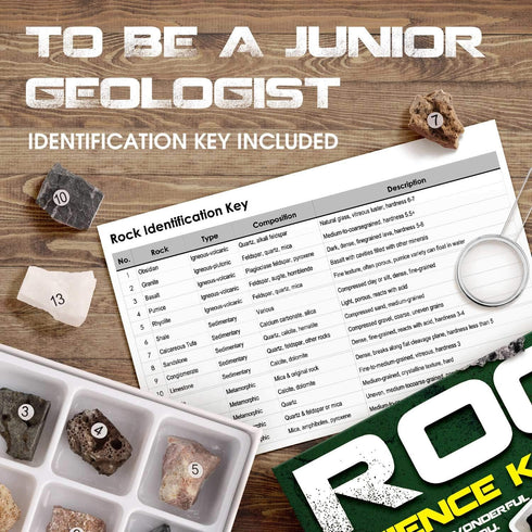 XXTOYS Rock Stone Collection Science Kit, 15pcs Geology Kid Specimens Gift with Magnifier Included