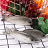 Gejoy 4 Pcs Realistic Fake Fish, Artificial Small Plastic Sea Fish for Party Market Display and Decoration