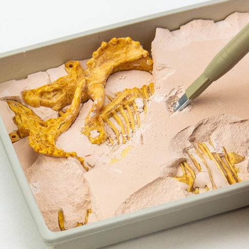 Science4you 10 6 7 8 9 10+ Triceratops Dinosaur Fossil Digging Kit - Excavate and Assemble Dino Bones, Dinosaur