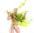 Super Action Stuff The Cursed Crate by - Blood Effects for Action Figures