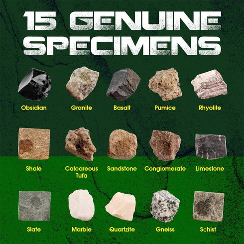 XXTOYS Rock Stone Collection Science Kit, 15pcs Geology Kid Specimens Gift with Magnifier Included
