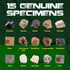 XXTOYS Rock Stone Collection Science Kit, 15pcs Geology Kid Specimens Gift with Magnifier Included