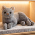 TUKVESZE 12 inch Gray Cat Plush Soft Plush Cat Toy, Realistic Black Cat Stuffed Animal Gifts for Boys and Girls (Gray)