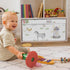 Sweet Jojo Designs Farm Animals Boy or Girl Small Fabric Toy Bin Storage Box Chest For Baby Nursery or Kids Room