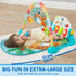 Tummy 0-6 0-3 6 9 12 SYNCFUN Baby Play Mat, Time Mat Toys, Baby Musical Learning Toys Months, Adorable Animal-Themed