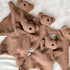 Teddy Bear | Lamb Lovey Comforter Toy for Babies, Cuddly Plush Security Blanket for Newborns, Snuggle Toy 12inch (Brown