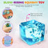 TwCare Stress Balls Ice Cube with Snowflakes Inside for Your Best Mellow and Chill, Snow Pieces Silent Nice Square