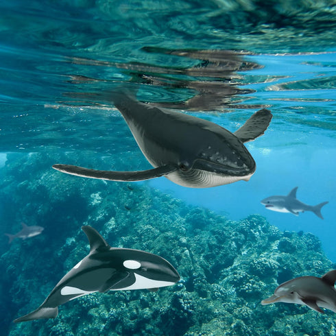 Set 15 3+ Terra by Battat Toy Sea Animals Realistic Whale, Dolphin, Penguin & More Detailed Ocean Creatures for Sensory