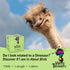 About Birds Conversation Starters - Trivia Cards for Bird Lovers, Fun Family Games with 150 Questions