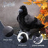 Aoriher 12 Inch Crow Plush Stuffed Animal - Soft Black Fluffy Toy for Home Decoration and Party Favors