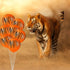 40 Tiger Balloons with Animal Print Stripes, Jungle Safari Theme for Zoo Party Supplies and Birthday Decoration