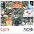 Buffalo Games - Irina Garmashova-Cawton - Cats Close-up - 750 Piece Jigsaw Puzzle for Adults Challenging Puzzle Perfect for Game Nights - Finished Puzzle Size is 24.00 x 18.00